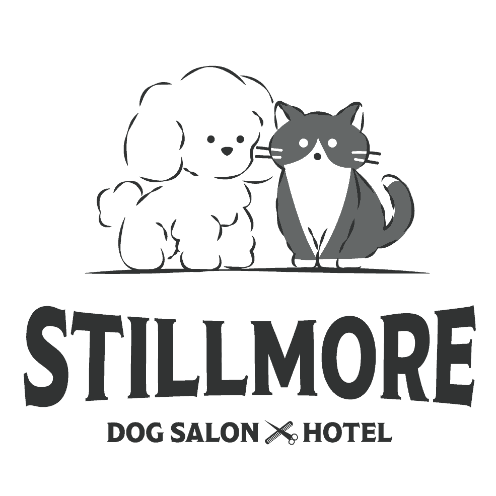 【一社駅徒歩14分】名古屋市名東区のトリミングサロン｜STILL MORE